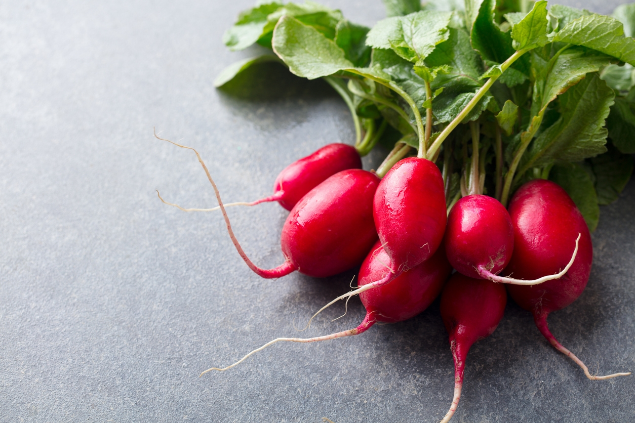 Growing Radishes  N.C. Cooperative Extension